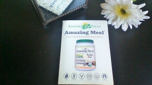 whole foods 08 2015 ready for action bag icangwp 6