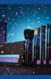 nordstrom 10 2015 mac enchanted eve brush bag