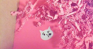 WIN_20151208_143204 (2)