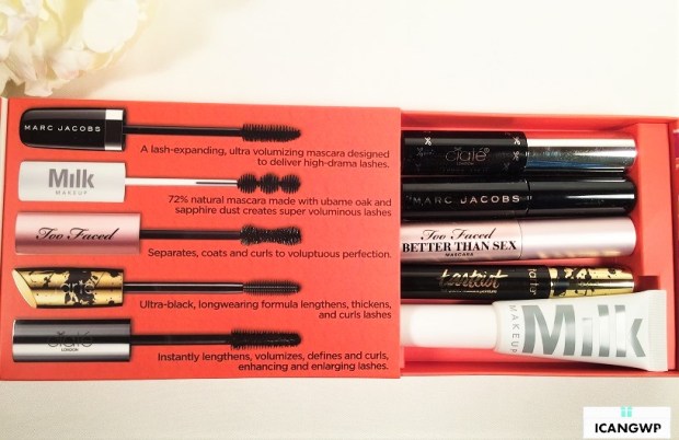 lashstash open box icangwp