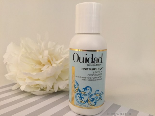 ouidad_042016_review_icangwp10