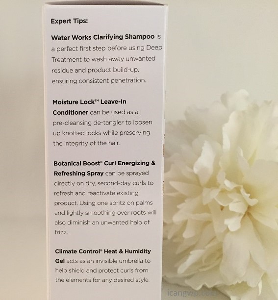 ouidad_042016_review_icangwp2