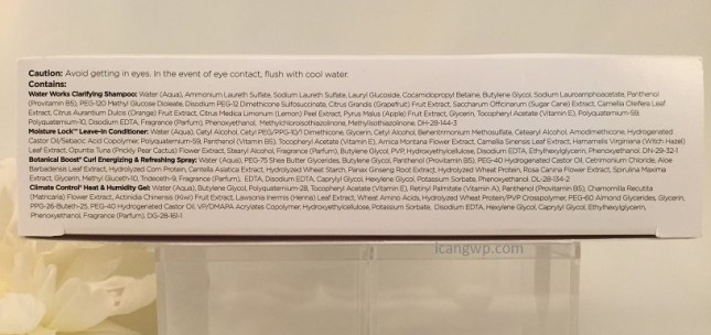 ouidad_042016_review_icangwp4