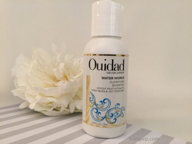 ouidad_042016_review_icangwp8