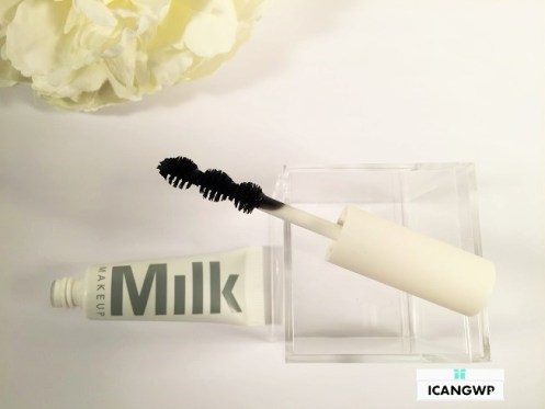sephora lashstash to go 2016 brush icangwp milk.jpeg