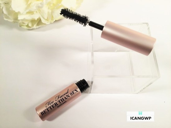 sephora lashstash to go 2016 brush icangwp too faced.jpeg