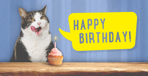 amazon 062016 birthdaycat_15_noto_email_us-main._CB312741235_