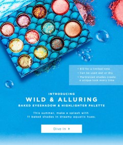 bh cosmetics 062016 wild