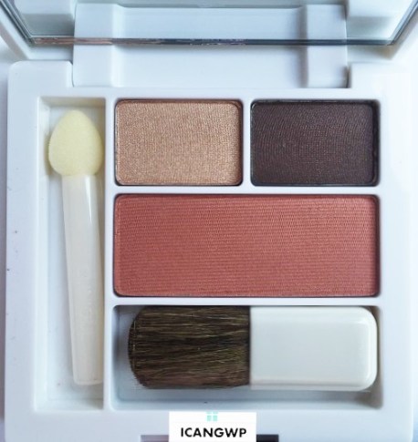 nordstrom clinique bonus icangwp 062016 palette (2)