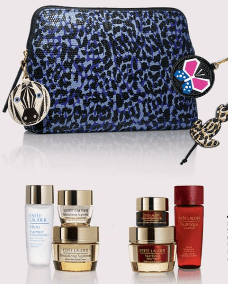 nordstrom-estee-lauder-gift-with-35-cosmetic-bag-and-skincare-see-more-at-icangwp-beauty-blog