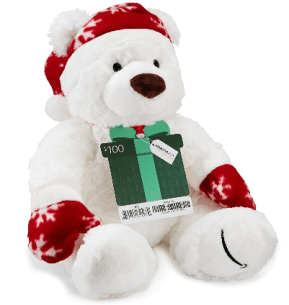 amazon100-gift-card-with-a-holiday-teddy-bear-limited-edition-amazon-com-gift-cards-see-more-at-icangwp-blog