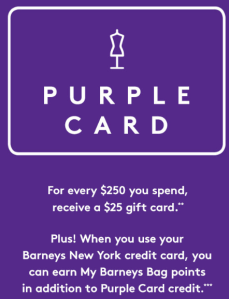 barneys-purple-card-2017-see-more-at-icangwp-beauty-blog
