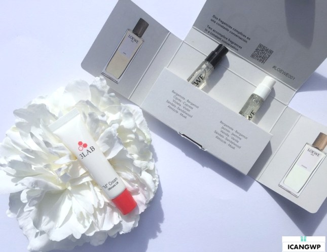 barneys love yourself sample bag 2017 3lab review by icangwp beauty blog your gift with purchase destination.JPG-resized.jpg