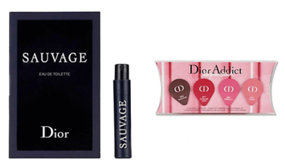 saks dior gift jun 2017