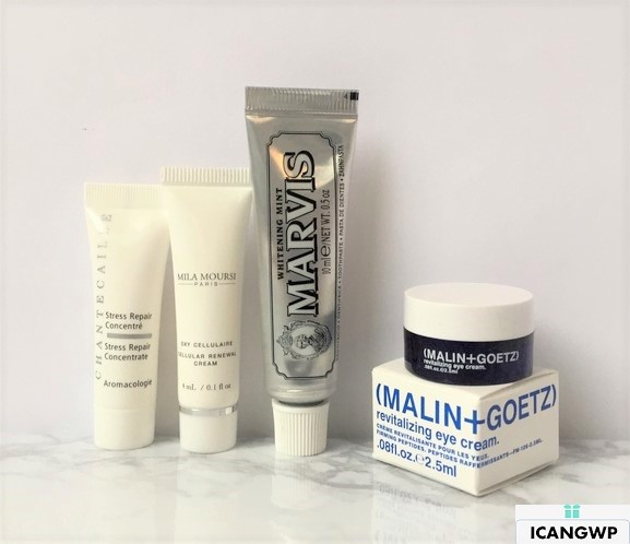 Barneys Love Yourself Gift Bag 2017 Fall Review by I can GWP blog - your gift with purchase destination malin.JPG-resized