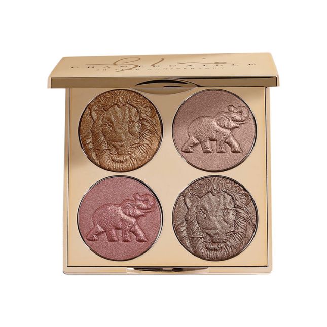 chantecaille 20 year anniversary palette icangwp blog.jpg