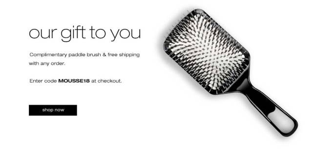 SHU uemura free brush icangwp blog