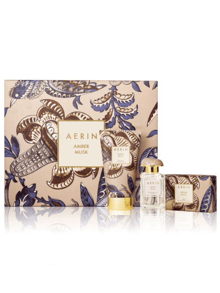 lord and taylor aerin icangwp blog