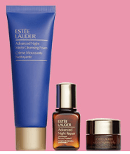 estee lauder Gift with Purchase fall gift at Nordstrom