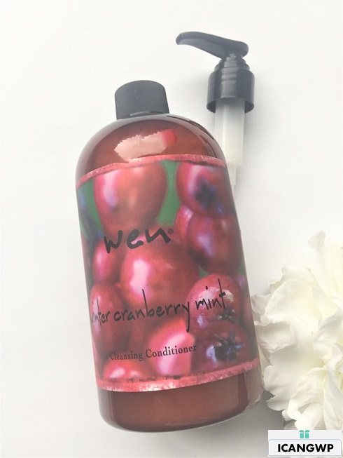 QVC Beauty with Benefits Gift Bag 2019 icangwp blog wen full size