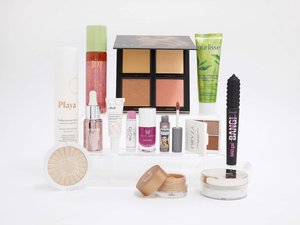 ipsyhaul endless summer