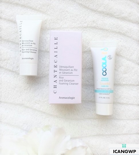 space nk fall beauty edit gift review by icangwp blog chantecaille