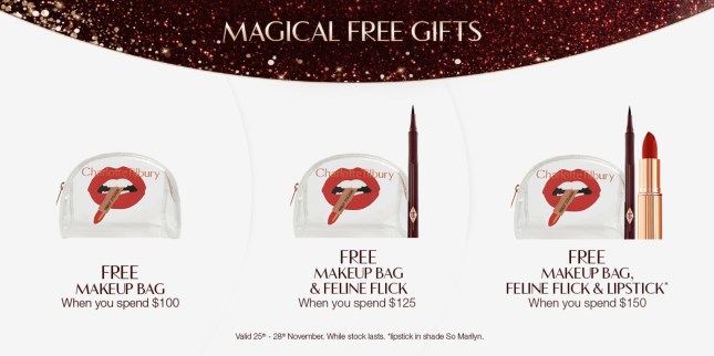 CyberWeek_AOV_MakeupBag_PLP_AU_US