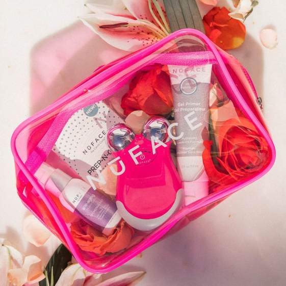 nuface mini set icangwp blog