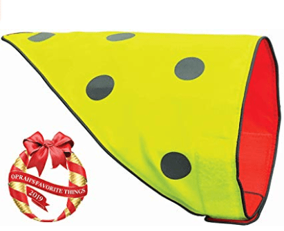 Amazon.com Spot the Dog Flip Orange and Yellow Reversible Protective Bandana Pet Supplies