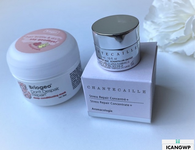 space nk GWP review icangwp