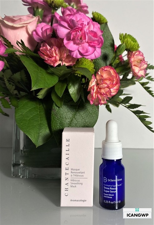 space nk gift bag 2020 icangwp blog chantecaille