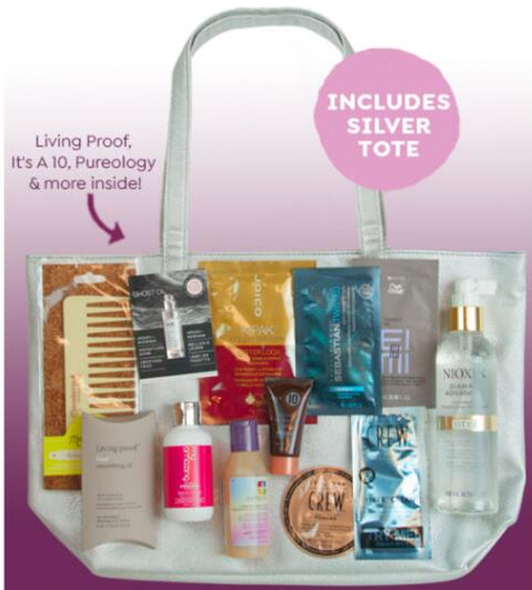 Beauty_Dash_14_Pc_Haircare_Sample_Bag beauty brands icangwp