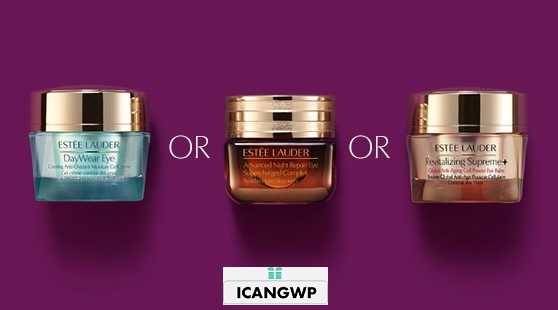 estee lauder gift with purchase dillards icangwp beauty blog (3)