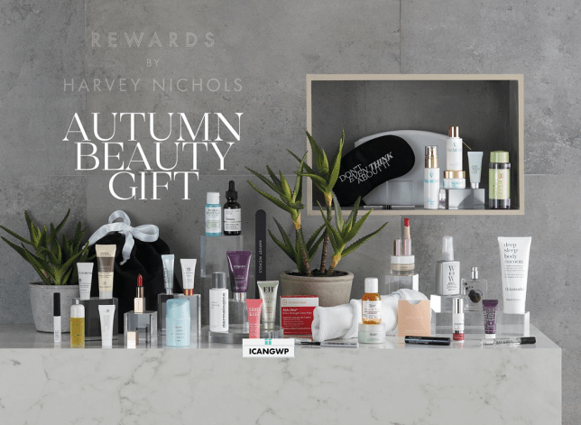 harvney nichols autumn gift 2020 icangwp blog sep 2020