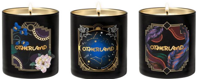 Screenshot_2020-12-15 Otherland Nordstrom