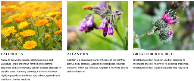 Screenshot_2021-05-02 Calendula Herbal Extract Toner – Alcohol-Free Toner – Kiehl’s