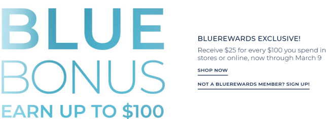 Screenshot 2022-03-03 at 10-03-26 Cosmetics, Skincare, Wellness and Spa bluemercury