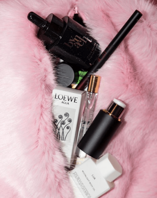 the webster beauty bag