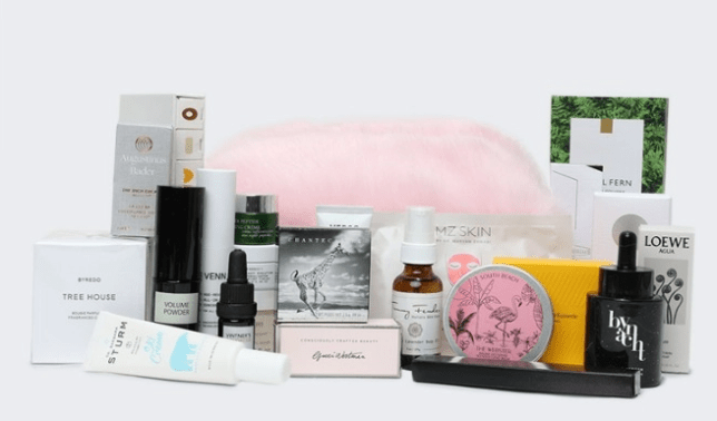 webster beauty bag 2023 icangwp blog