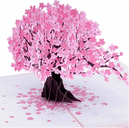 Screenshot 2023-02-07 at 16-35-22 Amazon.com Paper Love 3D Cherry Blossom Pop Up Card For Valentines Spring Mothers Day All Occasions - 5 x 7 Cover - Includes Envelope and Note Tag Office Products