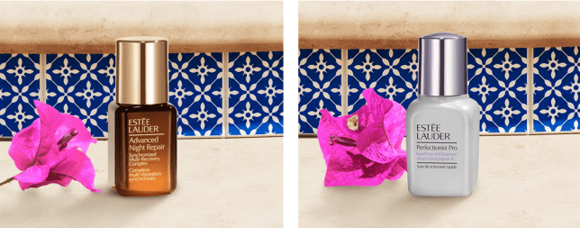 Screenshot 2023-02-09 at 10-06-26 Free Beauty Gift with Purchase Estée Lauder