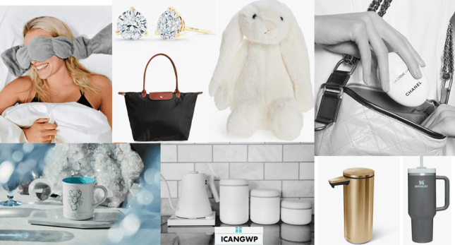 nordstrom gift guide icangwp