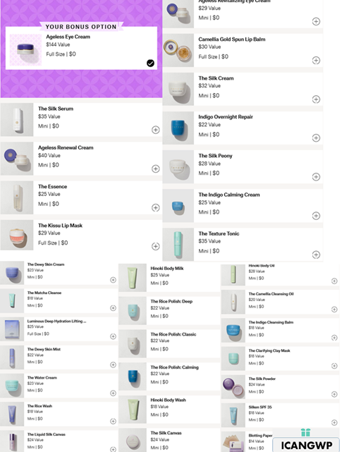 tatcha Fukubiki 2024 icangwp gift